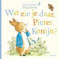 Pieter Konijn  -   Wat zie je daar, Pieter Konijn?