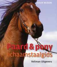 Paard en pony  -  Paarden & pony's lichaamstaalgids