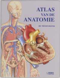 Atlas Van De Anatomie