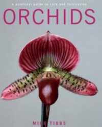 Orchids