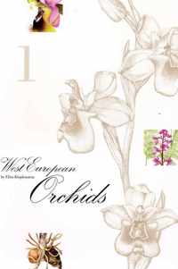 1 West-european orchids