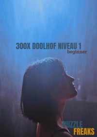 300X DOOLHOF NIVEAU 1