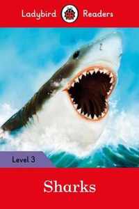 Sharks Ladybird Readers Level 3
