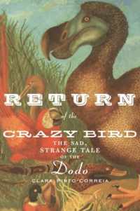 Return of the Crazy Bird