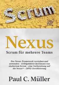 Nexus - Scrum fur mehrere Teams