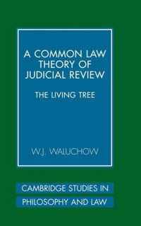 A Common Law Theory of Judicial Review