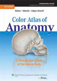 Color Atlas of Anatomy, International Edition