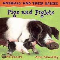 Pigs And Piglets