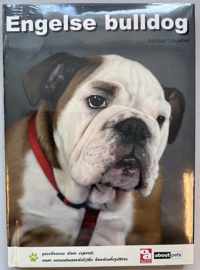 Over Dieren  -   Engelse bulldog