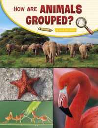 How Are Animals Grouped?