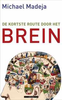 De kortste route door het brein