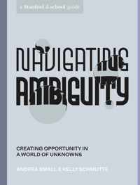 Navigating Ambiguity