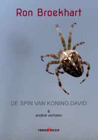 De spin van koning David - Ron Broekhart - Paperback (9789464434873)