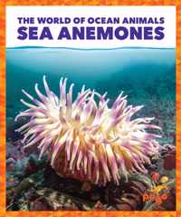 Sea Anemones