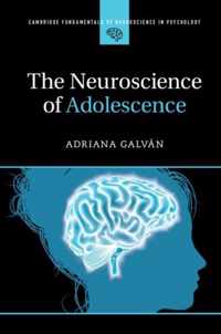 The Neuroscience of Adolescence