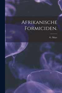 Afrikanische Formiciden.