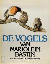 Vogels van marjolein bastin