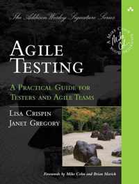 Agile Testing Practical Gde For Testers