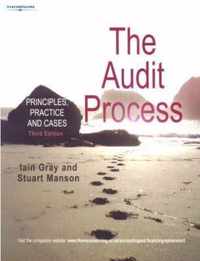 The Audit Process