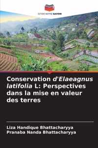 Conservation d'Elaeagnus latifolia L