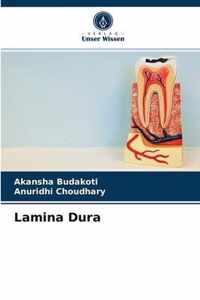 Lamina Dura