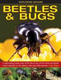 Exploring Nature: Beetles & Bugs