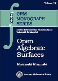 Open Algebraic Surfaces