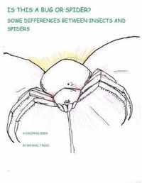 Is this a Bug or Spider?: Some Differences between Insects and Spiders