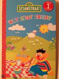 Sesamstraat. Wat zegt Ernie?