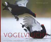 Vogelvlucht