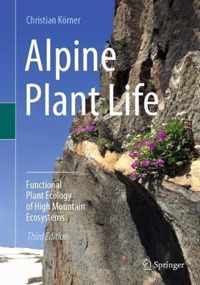 Alpine Plant Life