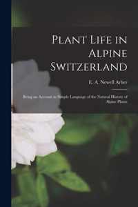 Plant Life in Alpine Switzerland