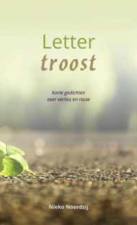 Lettertroost - Nieko Noordzij - Paperback (9789464357219)