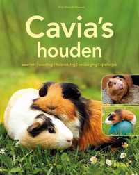 Cavia's houden