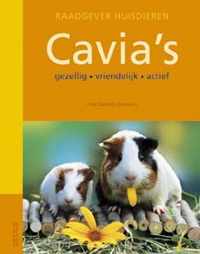 Cavia's