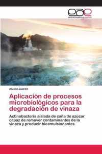 Aplicacion de procesos microbiologicos para la degradacion de vinaza