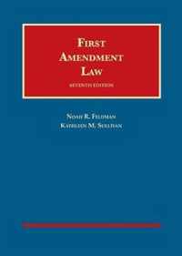 First Amendment Law