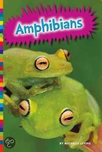 Amphibians