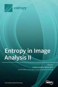 Entropy in Image Analysis II