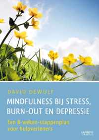 Mindfulness bij stress, burn-out en depressie