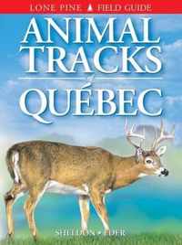 Animal Tracks of Quebec