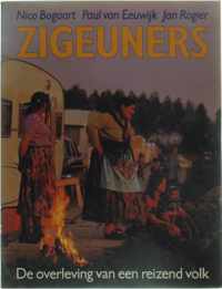 Zigeuners : De overleving van een reizend volk