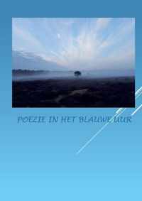 Poëzie in het blauwe uur - Anna van Mansom - Hardcover (9789464436778)