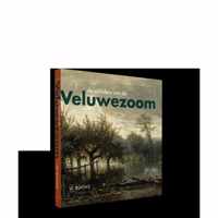 De schilders van de Veluwezoom - Dick van Veelen, Jeroen Kapelle, Ulbe Anema - Hardcover (9789462583368)
