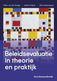 Beleidsevaluatie in theorie en praktijk - Dick Hanemaayer - Paperback (9789462368125)