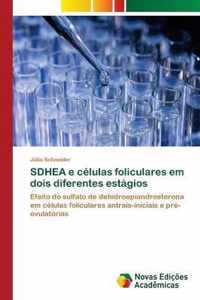 SDHEA e celulas foliculares em dois diferentes estagios