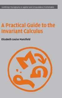 Practical Guide To The Invariant Calculus