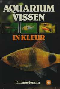 Aquariumvissen in kleur