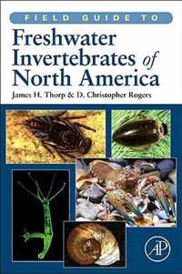 Field Guide to Freshwater Invertebrates of North America