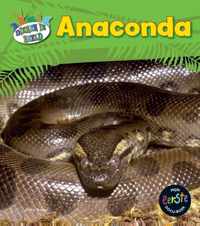 Dieren in beeld  -   Anaconda
